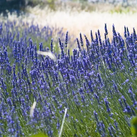 Πανσιόν In With Sea View, Terrace, Air Conditioning, Wi-fi 3*