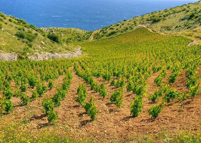 게스트하우스 In With Sea View, Terrace, Air Conditioning, Wi-fi 3*