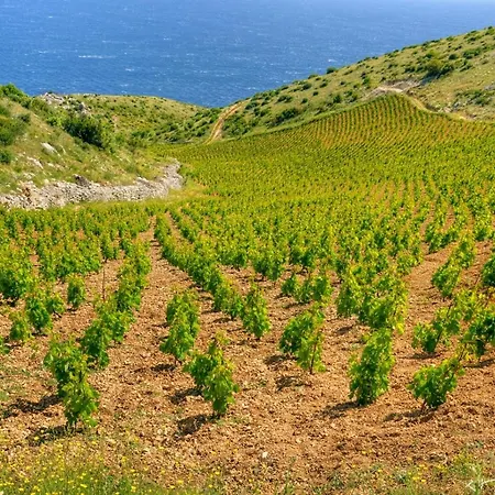 Penzion In With Sea View, Terrace, Air Conditioning, Wi-fi 3*