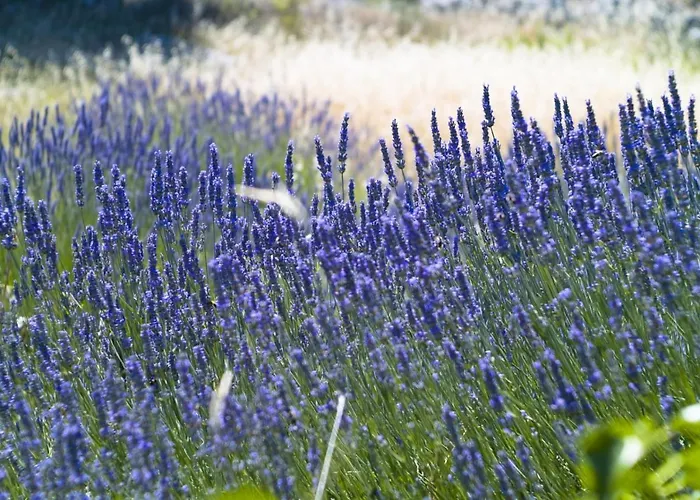Casa de hóspedes In With Sea View, Terrace, Air Conditioning, Wi-fi 3*